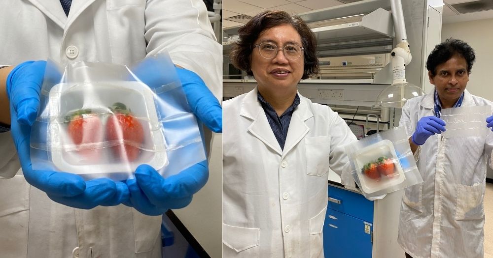 可生物降解的柔性食品包裝_http://m.financialpredictions.com_新聞資訊_第1張